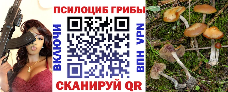 Галлюциногенные грибы прущие грибы  Арсеньев 