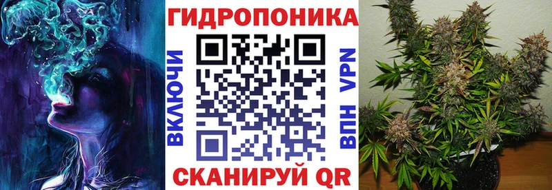 купить  сайты  Арсеньев  Каннабис индика 